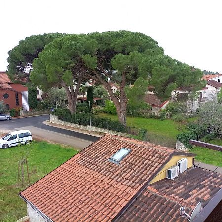 Apartments Ingrid Novigrad Istria 外观 照片