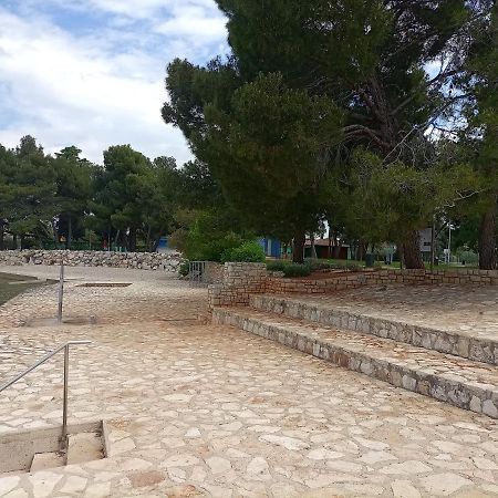 Apartments Ingrid Novigrad Istria 外观 照片