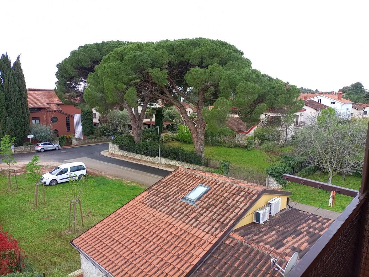 Apartments Ingrid Novigrad Istria 外观 照片