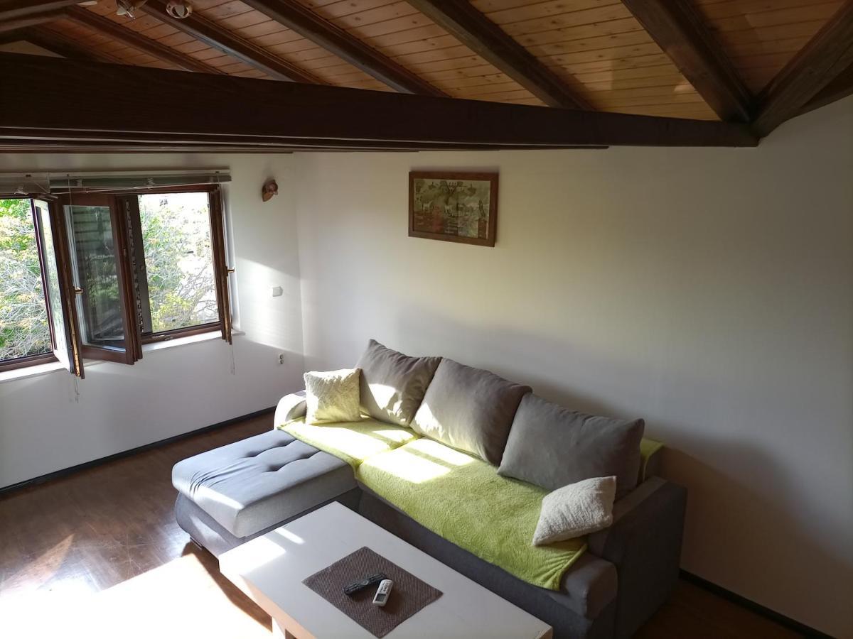 Apartments Ingrid Novigrad Istria 外观 照片