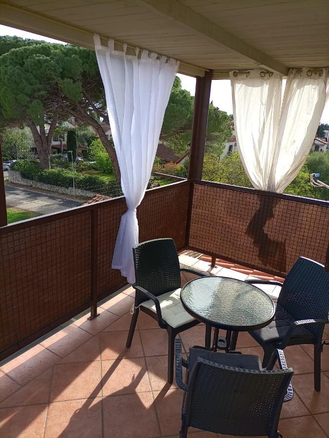 Apartments Ingrid Novigrad Istria 外观 照片