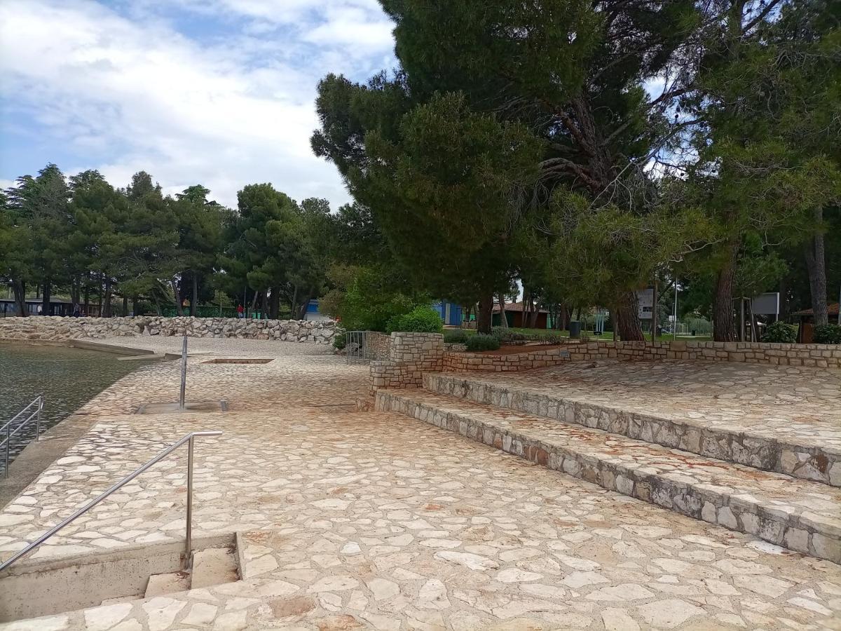 Apartments Ingrid Novigrad Istria 外观 照片