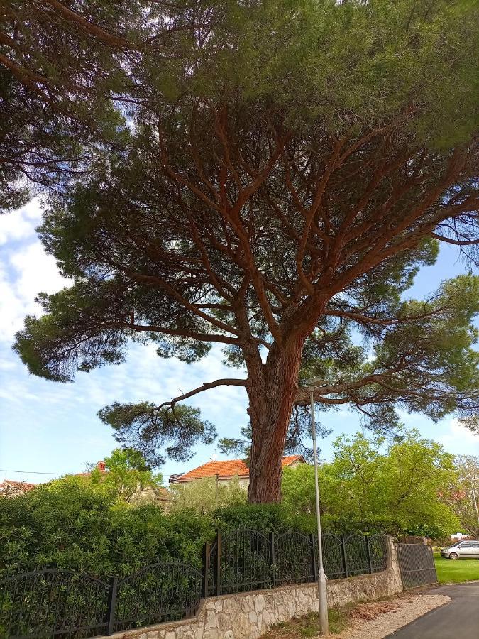 Apartments Ingrid Novigrad Istria 外观 照片