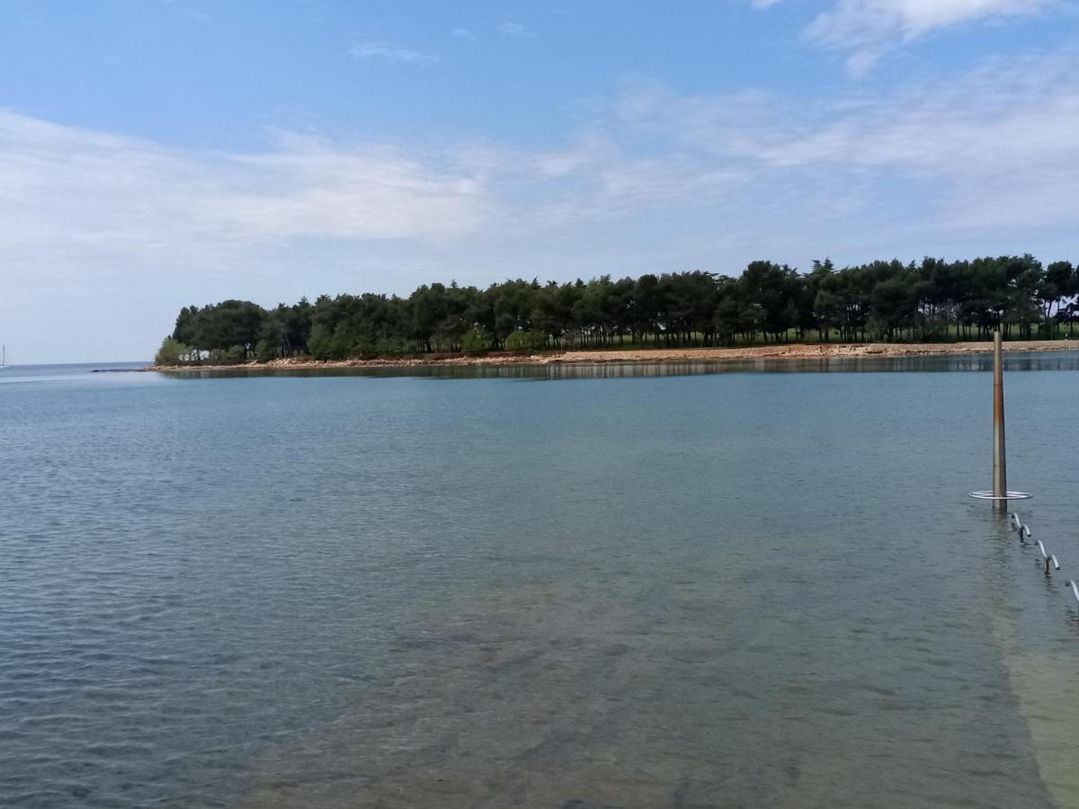 Apartments Ingrid Novigrad Istria 外观 照片