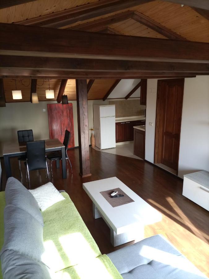 Apartments Ingrid Novigrad Istria 外观 照片