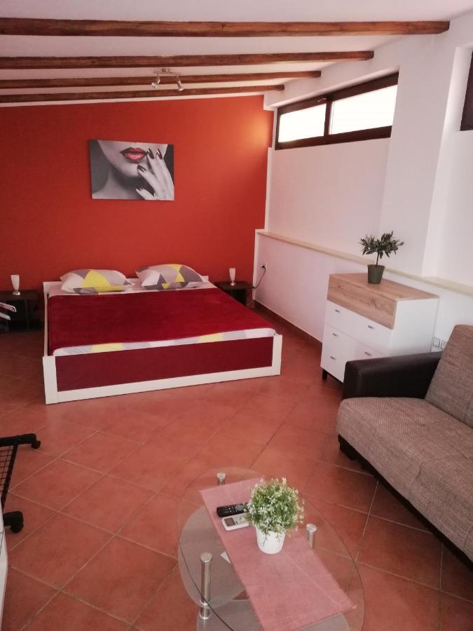 Apartments Ingrid Novigrad Istria 外观 照片