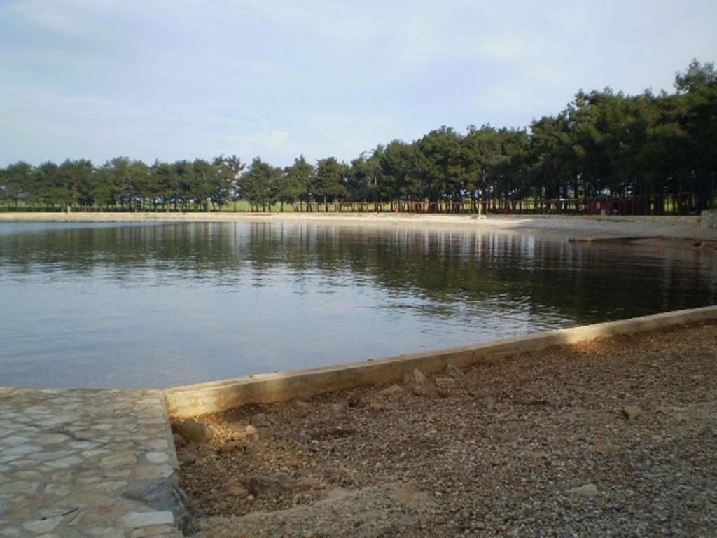 Apartments Ingrid Novigrad Istria 外观 照片