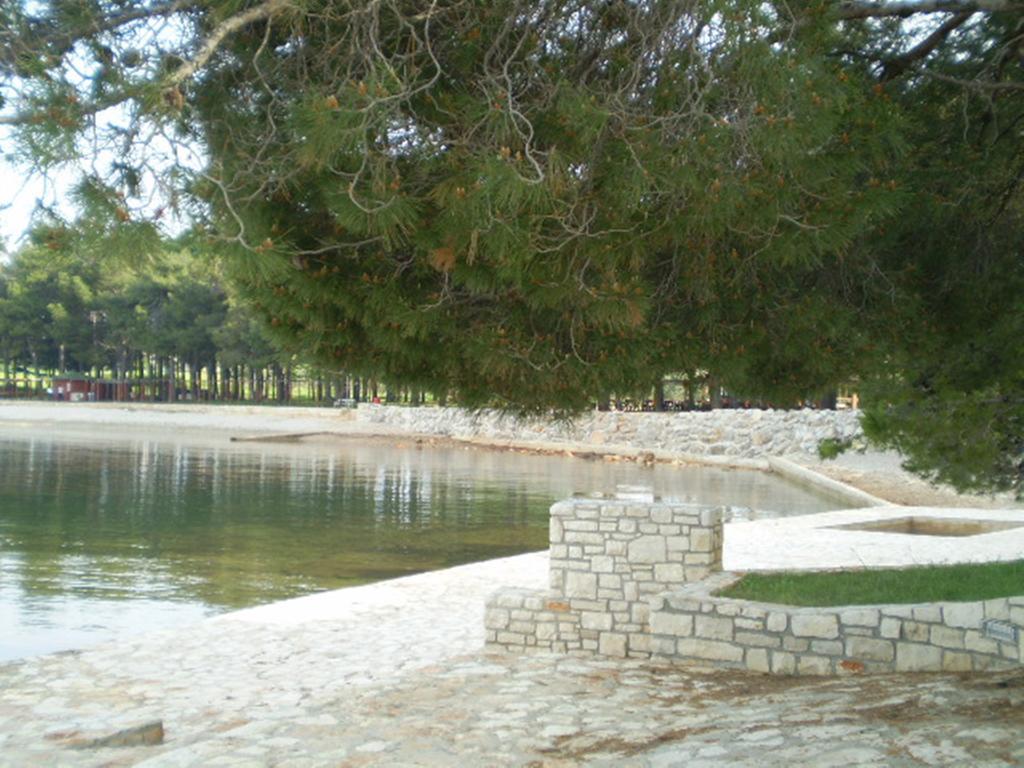 Apartments Ingrid Novigrad Istria 外观 照片