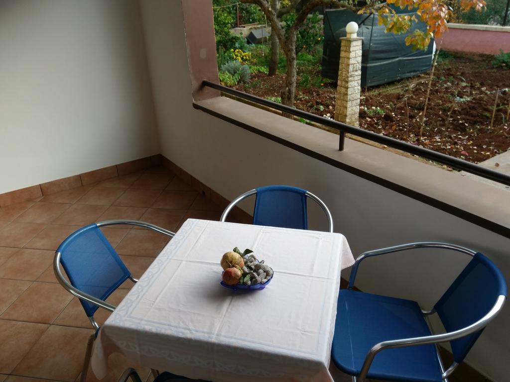 Apartments Ingrid Novigrad Istria 外观 照片