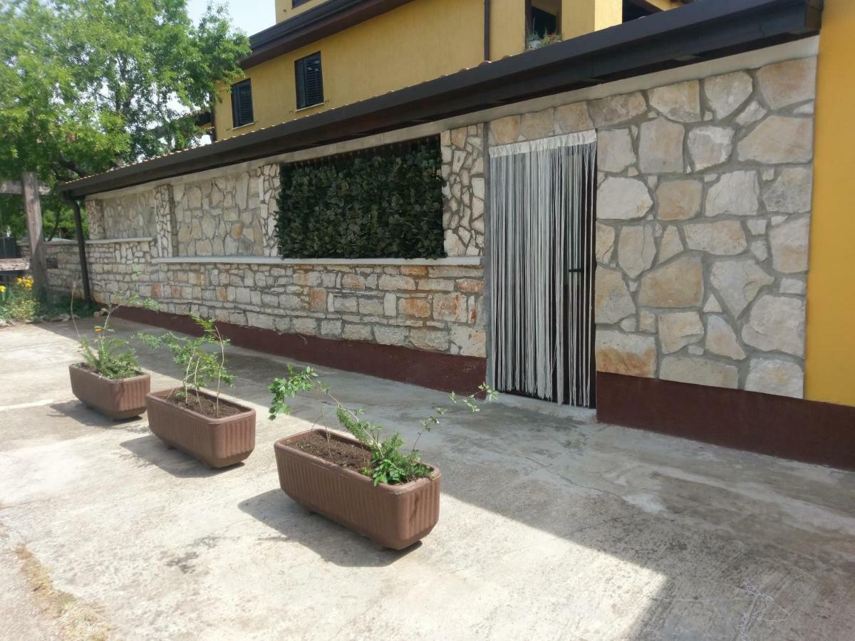 Apartments Ingrid Novigrad Istria 外观 照片