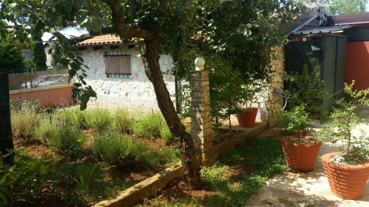 Apartments Ingrid Novigrad Istria 外观 照片