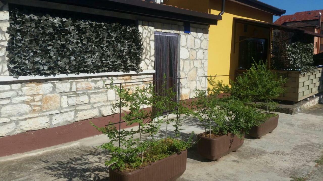 Apartments Ingrid Novigrad Istria 外观 照片