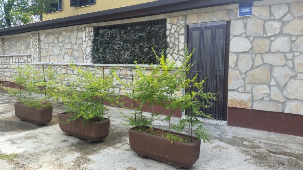 Apartments Ingrid Novigrad Istria 外观 照片